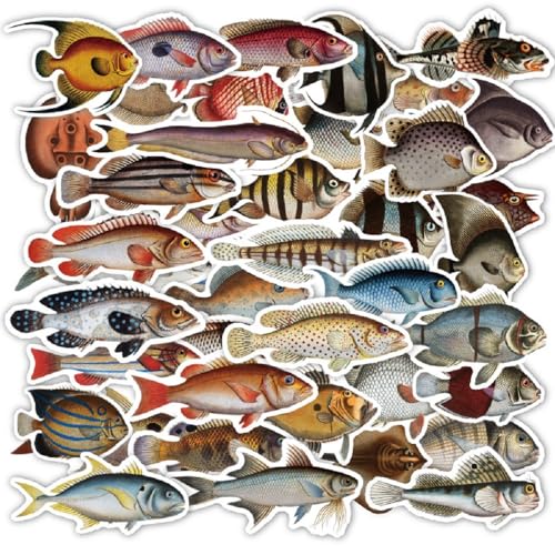 Fische Sticker Set Angeln Fliegenfischen Kinder und Erwachsene Hobby Tierwelt Ozeane - 50 - Stück - Dekoration für Lunchboxen Schulhefte Köderbox (Braunes Set) von Generic