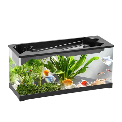Fischspieß, klare Acryl Desktop Pflanze Aquarium - Fisch Tank Starter Kit Mit Luftpumpe Für Tisch, Wohnzimmer, Arbeitszimmer, Zuhause von Generic