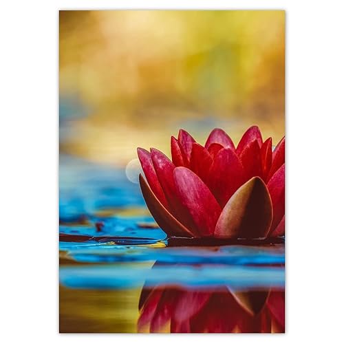 Foto-Poster, Wanddekoration, 70 x 100 cm, Wasserlilie, Blume, H3633M_PL1AB von Generic
