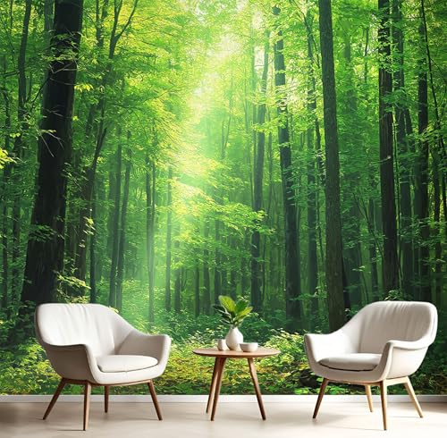 Fototapete 3D Effekt Dekoration, Dichter Wald Wandbild 250X175Cm Seidentuch Tapete Wandtapeten, Smaragdgrün Frisch Natürlich Wandbilder Fototapete Panorama Wanddeko von Generic
