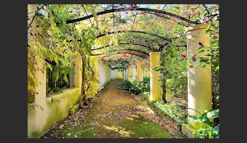 Fototapete Garten 200x140 cm Landhausstil 3D Foto Tapete Wohnzimmer Schlafzimmer Vliestapete XXL Wandtapete Moderne Wandbild Poster Wand Dekoration 1459-ABC Fototapete Garten 200x140 cm Landhausstil 3D Foto Tapete Wohnzimmer Schlafzimmer Vliestapete XXL Wandtapete Moderne Wandbild Poster Wand Dekoration 1459-ABC von Generic