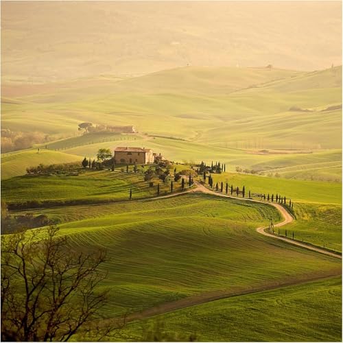 Fototapete Landhausstil 450x315 cm Bauernhof 3D Foto Tapete Wohnzimmer Schlafzimmer Vliestapete XXL Wandtapete Moderne Wandbild Poster Wand Dekoration 1832-ABC Fototapete Landhausstil 450x315 cm Bauernhof 3D Foto Tapete Wohnzimmer Schlafzimmer Vliestapete XXL Wandtapete Moderne Wandbild Poster Wand Dekoration 1832-ABC von Generic