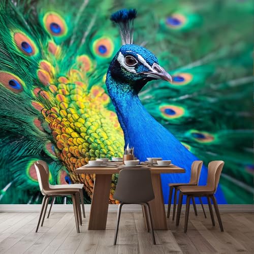 Fototapete Nahaufnahme Tier Pfau Federn Vlies Tapete 400 x 280 cm 3D Effekt Wandbild Wandtapete Moderne Wohnzimmer Mural Schlafzimmer Kinderzimmer Wand Küchentapete Wandtapete Bunt Fototapete Nahaufnahme Tier Pfau Federn Vlies Tapete 400 x 280 cm 3D Effekt Wandbild Wandtapete Moderne Wohnzimmer Mural Schlafzimmer Kinderzimmer Wand Küchentapete Wandtapete Bunt von Generic
