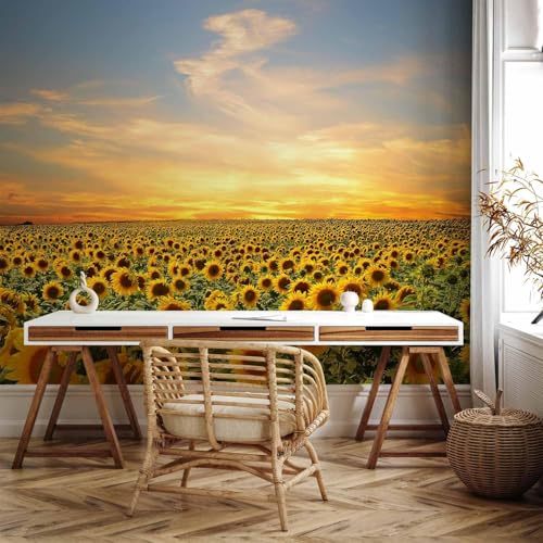 Fototapete Sonnenblume 200x140 cm Landhausstil 3D Foto Tapete Wohnzimmer Schlafzimmer Vliestapete XXL Wandtapete Moderne Wandbild Poster Wand Dekoration 947-ABC Fototapete Sonnenblume 200x140 cm Landhausstil 3D Foto Tapete Wohnzimmer Schlafzimmer Vliestapete XXL Wandtapete Moderne Wandbild Poster Wand Dekoration 947-ABC von Generic