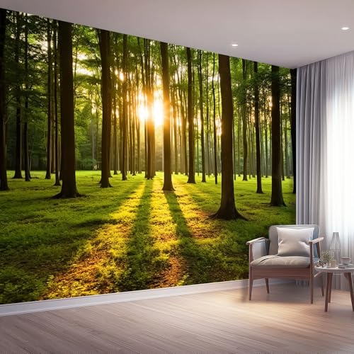 Fototapete Vlies Natürlicher Stil Wanddeko Wandbild Wandtapete, Tapete Sonnenaufgangswald Motivtapeten für Wohnzimmer Schlafzimmer 350 x 256 cm, Grün Fototapete Vlies Natürlicher Stil Wanddeko Wandbild Wandtapete, Tapete Sonnenaufgangswald Motivtapeten für Wohnzimmer Schlafzimmer 350 x 256 cm, Grün von Generic