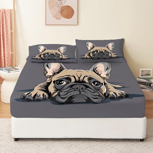 Französische Bulldogge Nahaufnahme Spannbetttuch 160 x 200 cm Set für Kinder Jungen Mädchen Teens Spannbettlaken Spannbetttuch Microfaser Mehrfarbig für bis 30 cm Matraze von Generic