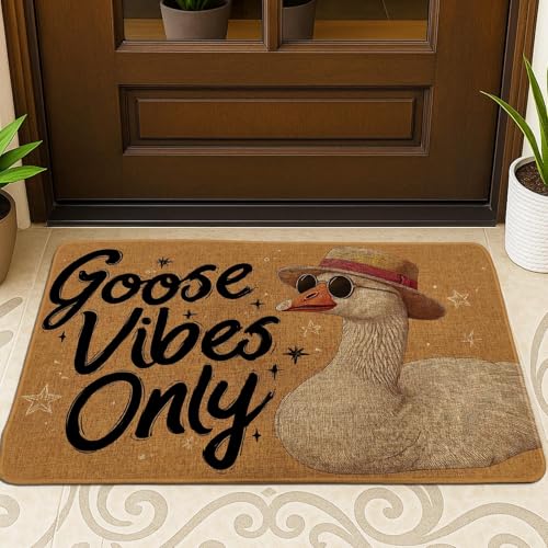Funny Goose Only Fußmatte, beige dekorative Matte für den Innen- und Außenbereich, Sommer-Willkommens-Teppich mit witzigem Gänse-Design, rutschfest und leicht zu reinigen, 73 x 43 cm von Generic