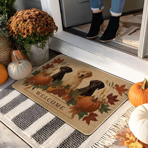 Fußmatte "Autumn Welcome", Hunde-Design für drinnen und draußen, Herbstdekoration mit Kürbissen und Blättern, rutschfeste saugfähige Matte, leicht zu reinigen, 73 x 43 cm von Generic