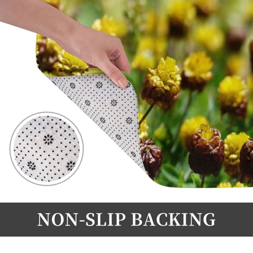 Fußmatte Innen Schmutzfangmatte Sauberlaufmatte 40 * 60cm Türmatte Eingangstürmatte Blumen Innenbereich rutschfeste Fußabtreter Türvorleger Innen Eingangsteppich von Generic