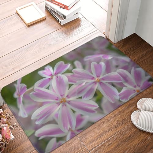 Fußmatte Innen Schmutzfangmatte Sauberlaufmatte 40 * 60cm Türmatte Eingangstürmatte Blumen Warm Innenbereich rutschfeste Fußabtreter Türvorleger Innen Eingangsteppich von Generic