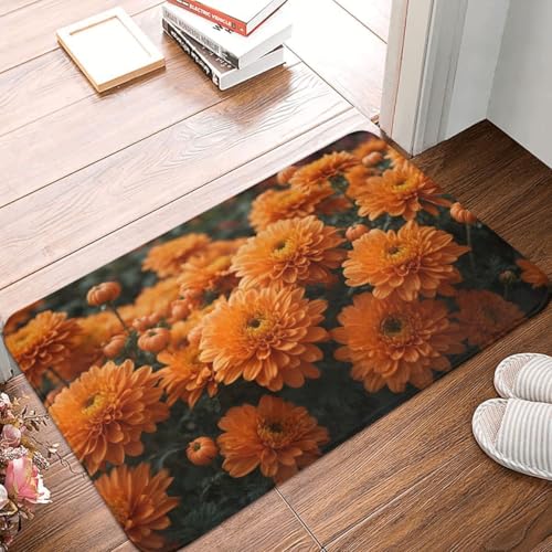 Fußmatte Innen Schmutzfangmatte Sauberlaufmatte 40 * 60cm Türmatte Eingangstürmatte Chrysantheme Innenbereich rutschfeste Fußabtreter Türvorleger Innen Eingangsteppich von Generic