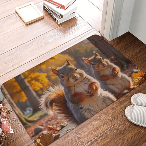 Fußmatte Innen Schmutzfangmatte Sauberlaufmatte 40 * 60cm Türmatte Eingangstürmatte Eichhörnchen Innenbereich rutschfeste Fußabtreter Türvorleger Innen Eingangsteppich von Generic