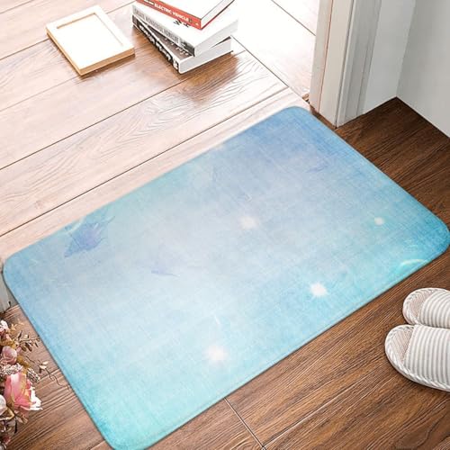 Fußmatte Innen Schmutzfangmatte Sauberlaufmatte 40 * 60cm Türmatte Eingangstürmatte Elegant modisch Innenbereich rutschfeste Fußabtreter Türvorleger Innen Eingangsteppich von Generic