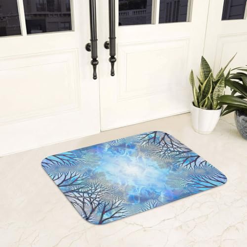 Fußmatte Innen Schmutzfangmatte Sauberlaufmatte 40 * 60cm Türmatte Eingangstürmatte Mode Innenbereich rutschfeste Fußabtreter Türvorleger Innen Eingangsteppich von Generic