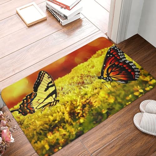 Fußmatte Innen Schmutzfangmatte Sauberlaufmatte 40 * 60cm Türmatte Eingangstürmatte Schmetterling Hell Innenbereich rutschfeste Fußabtreter Türvorleger Innen Eingangsteppich von Generic