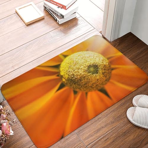 Fußmatte Innen Schmutzfangmatte Sauberlaufmatte 40 * 60cm Türmatte Eingangstürmatte Staubblätter Innenbereich rutschfeste Fußabtreter Türvorleger Innen Eingangsteppich von Generic
