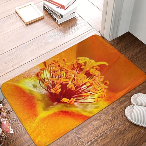 Fußmatte Innen Schmutzfangmatte Sauberlaufmatte 40 * 60cm Türmatte Eingangstürmatte Staubblatt einfach Innenbereich rutschfeste Fußabtreter Türvorleger Innen Eingangsteppich von Generic