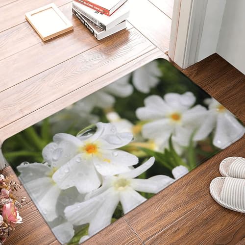 Fußmatte Innen Schmutzfangmatte Sauberlaufmatte 40 * 60cm Türmatte Eingangstürmatte Tau Innenbereich rutschfeste Fußabtreter Türvorleger Innen Eingangsteppich von Generic