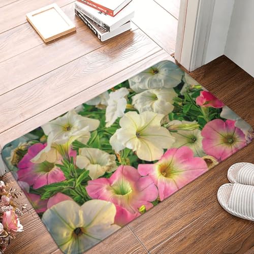 Fußmatte Innen Schmutzfangmatte Sauberlaufmatte 40 * 60cm Türmatte Eingangstürmatte brillant Innenbereich rutschfeste Fußabtreter Türvorleger Innen Eingangsteppich Fußmatte Innen Schmutzfangmatte Sauberlaufmatte 40 * 60cm Türmatte Eingangstürmatte brillant Innenbereich rutschfeste Fußabtreter Türvorleger Innen Eingangsteppich von Generic