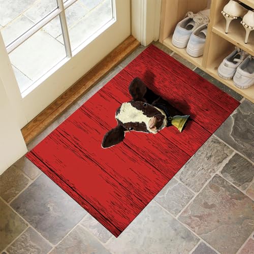 Fußmatte Rot 45 X 75 Cminnen, Süße Kuh Waschbar Fussmatt, Rutschfester Schmutzfänger Teppich Strichzeichnung Für Eingang, Haustür, Patio, Flur Fußmatte Rot 45 X 75 Cminnen, Süße Kuh Waschbar Fussmatt, Rutschfester Schmutzfänger Teppich Strichzeichnung Für Eingang, Haustür, Patio, Flur von Generic