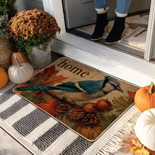 Fußmatte mit Herbstvogel, türkis, für Innen- und Außenbereich, Hauseingang, rustikale Dekoration, Gummi, wasserdicht, rutschfest, schmutzabsorbierend, leicht zu reinigen, 73,2 x 43,2 cm von Generic