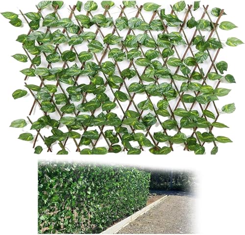 Garten Privatsphäre Zaun Schirmung Unterstützung Klettern Kunstgarten Erweiterung Gitterschirm Aufstieg Holz, Grün, H40cm/15.7in Garten Privatsphäre Zaun Schirmung Unterstützung Klettern Kunstgarten Erweiterung Gitterschirm Aufstieg Holz, Grün, H40cm/15.7in von Generic
