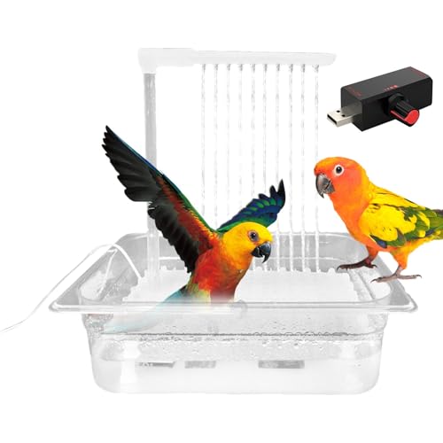 Garten-Wasserbrunnen – solarbetriebenes Vogelbad, automatischer Außenbrunnen | Terrasse Rasen-Herzstück mit 2 Ebenen, freistehender Wasserfall, Gartenbrunnen, Trann Garten-Wasserbrunnen – solarbetriebenes Vogelbad, automatischer Außenbrunnen | Terrasse Rasen-Herzstück mit 2 Ebenen, freistehender Wasserfall, Gartenbrunnen, Trann von Generic