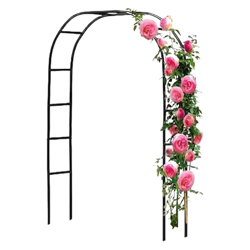 Gartenlaube – Gartenbogen Rankgitter | Metall Hochzeitsbogen Rahmen Kletterpflanzen Metall Gartenbogen | Pflanzenstützwerkzeug Blumen Rahmen Hintergrund Ständer Hochzeit Laube für Hochzeitsdekoration Gartenlaube – Gartenbogen Rankgitter | Metall Hochzeitsbogen Rahmen Kletterpflanzen Metall Gartenbogen | Pflanzenstützwerkzeug Blumen Rahmen Hintergrund Ständer Hochzeit Laube für Hochzeitsdekoration von Generic