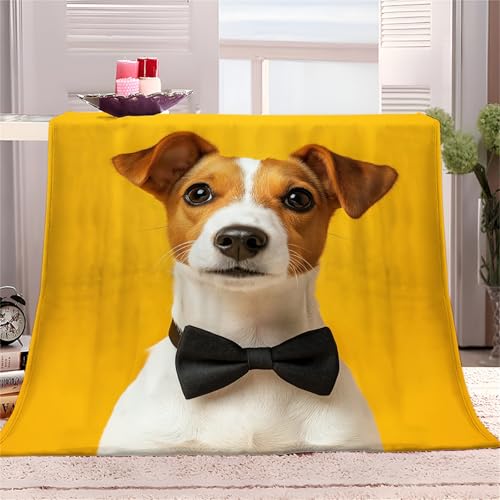 Gelb Kuscheldecke Flauschig 170x200 cm Tier Jack Russell Terrier Druck Fleecedecke Weiche Sofadecke Fleecedecke Mikrofaser Wohndecke Pflegeleicht Warm Gemütlich für Erwachsene und Kinder Gelb Kuscheldecke Flauschig 170x200 cm Tier Jack Russell Terrier Druck Fleecedecke Weiche Sofadecke Fleecedecke Mikrofaser Wohndecke Pflegeleicht Warm Gemütlich für Erwachsene und Kinder von Generic