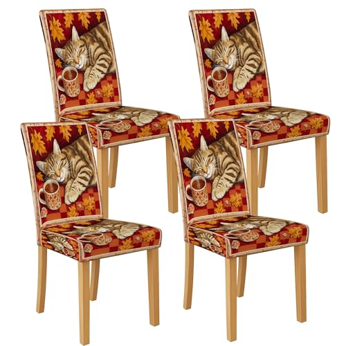Gemütliche Herbststuhlhussen für Esszimmerstühle, dehnbar und waschbar, Spandex-Sitzschoner, lustige dekorative Schonbezüge für Küche, Wohnzimmer, 4 Stück Gemütliche Herbststuhlhussen für Esszimmerstühle, dehnbar und waschbar, Spandex-Sitzschoner, lustige dekorative Schonbezüge für Küche, Wohnzimmer, 4 Stück von Generic
