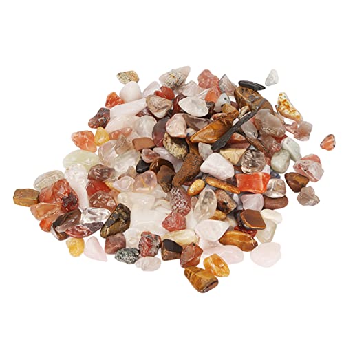 Generic Aquariumkies, Kieselsteine für Innenpflanzen Aquariumgesteine Dekorative Polierte Felsen 100g River Steine Kaktus Erbsenkies für Gartenarbeit, Blumentöpfe, Vase -Füllstoffe, Generic Aquariumkies, Kieselsteine für Innenpflanzen Aquariumgesteine Dekorative Polierte Felsen 100g River Steine Kaktus Erbsenkies für Gartenarbeit, Blumentöpfe, Vase -Füllstoffe, von Generic