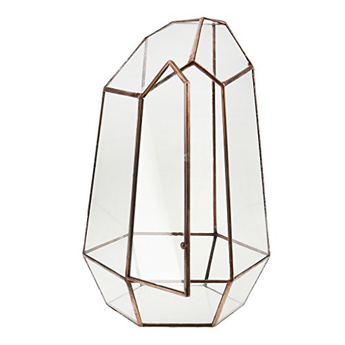 Irreguläre Mini Glas Terrarium Geometrisches Glas Sukkulente Pflanzen Pflanzgefäß Deko, 16 x 16 x 25cm von Generic