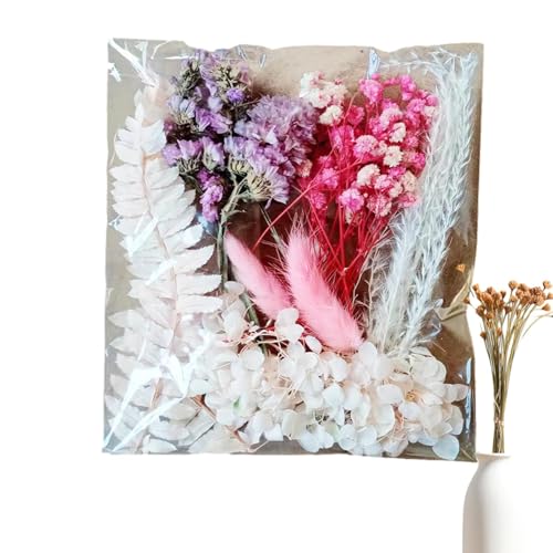 Generic Trockenblumen, Trockenblumen für Vase | Natürliche Blumenblätter DIY Kit - Natürliche, lebendige Trockenblumen für Fotorahmen, Kunsthandwerk, Harzformen und Kerzenherstellung von Generic