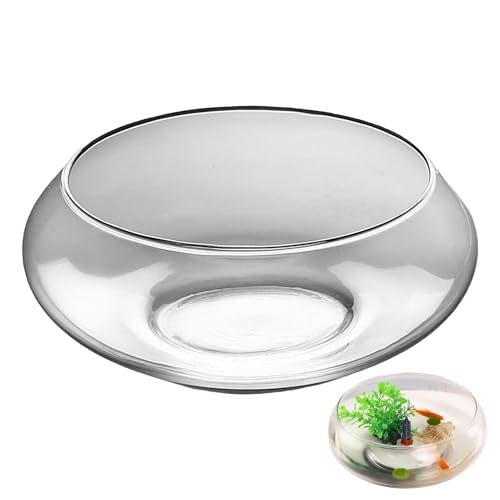 Glas Aquarium Schale, Flache Narzissenschale, Klar Rund Indoor Blumen Sukkulenten Vase Fischglas Für Tischdekoration Hochzeit Zuhause Festlich von Generic