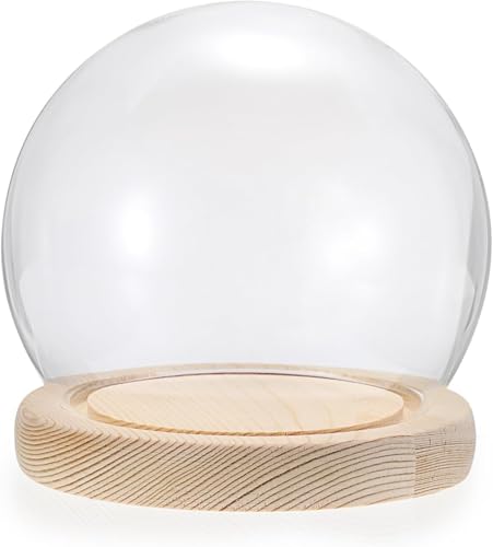 Glas Cloche Glocke, Glasglocke, Tischvitrine, Glaskuppel, Dekorative Gläser, Glaskuppel, Cloche Mit Holzfarbe, Massiver Holzsockel, Glocke, Glasgefäße, Für Blumenexemplar, One Color, 11cm von Generic