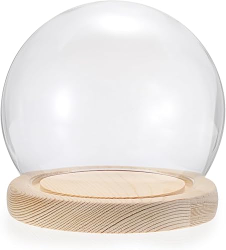 Glas Cloche Glocke, Glasglocke, Tischvitrine, Glaskuppel, Dekorative Gläser, Glaskuppel, Cloche Mit Holzfarbe, Massiver Holzsockel, Glocke, Glasgefäße, Für Blumenexemplar, One Color, 18cm von Generic