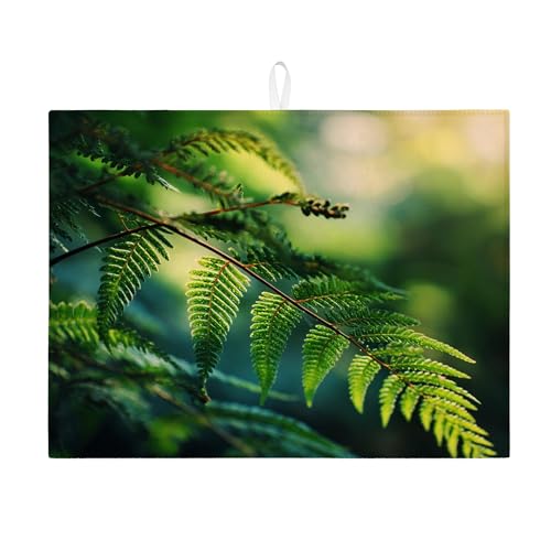 Green Fern Abtropfmatten für Küchentheke, von der Natur inspiriertes saugfähiges Abtropfgestell, umweltfreundliche Mikrofaser-Abtropfunterlage für Küchentheke, 45,7 x 61 cm Green Fern Abtropfmatten für Küchentheke, von der Natur inspiriertes saugfähiges Abtropfgestell, umweltfreundliche Mikrofaser-Abtropfunterlage für Küchentheke, 45,7 x 61 cm von Generic