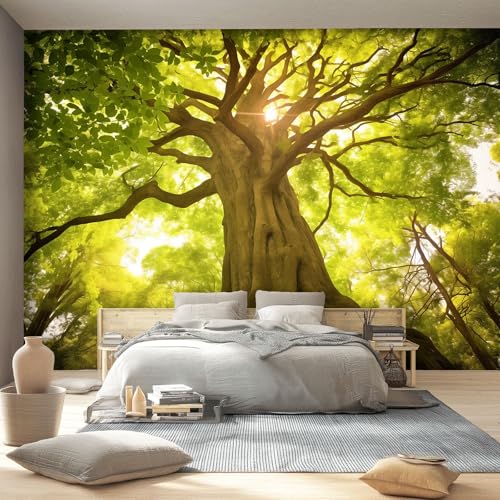 Grün Bäume Fototapete 300 x 210 cm Natur Sonnenlicht Pflanzen Thema Wandbild Wohnzimmer Schlafzimmer Wandtapete, Vlies Tapete UV-Beständig Geruchsfrei Montagefertig Grün Bäume Fototapete 300 x 210 cm Natur Sonnenlicht Pflanzen Thema Wandbild Wohnzimmer Schlafzimmer Wandtapete, Vlies Tapete UV-Beständig Geruchsfrei Montagefertig von Generic