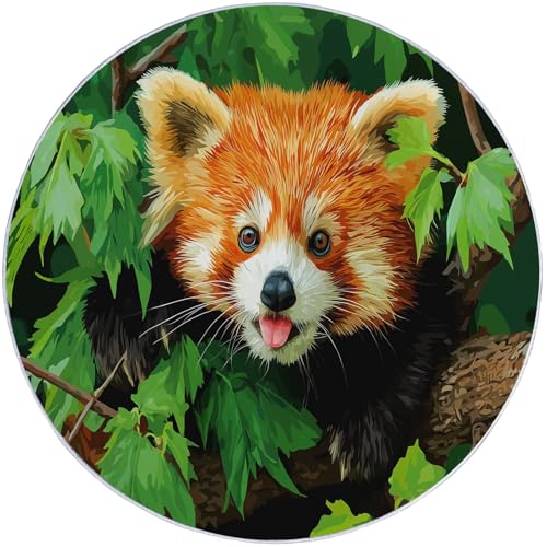 Grün Orange Runder Teppich 100 cm Round Eingangsbereich Großer Kreis Bereich Teppiche Küche Kurzflor Teppiche rutschfest Innenschlafzimmer Waschbar Teppich Natur Tiere Roter Panda Blätter Grün Orange Runder Teppich 100 cm Round Eingangsbereich Großer Kreis Bereich Teppiche Küche Kurzflor Teppiche rutschfest Innenschlafzimmer Waschbar Teppich Natur Tiere Roter Panda Blätter von Generic