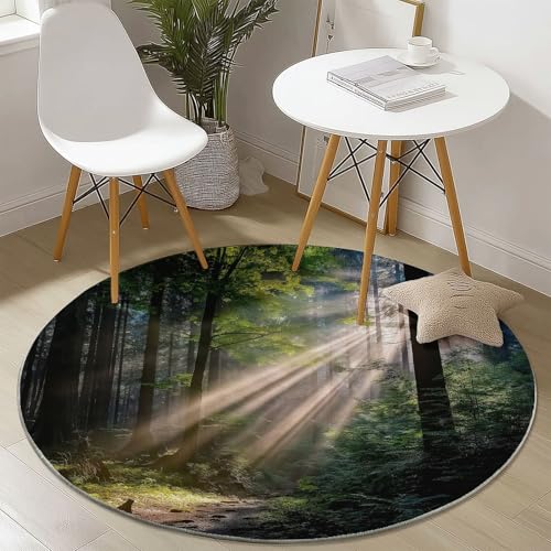 Grün Teppich Rund 180 cm Natur Wald Sonnenschein Moderner rutschfest Teppiche Wohnzimmer Runder Waschbar Rund Teppiche Kurzflor Weich Runder Teppich for Wohnzimmer Schlafzimmer Kinderzimmer Grün Teppich Rund 180 cm Natur Wald Sonnenschein Moderner rutschfest Teppiche Wohnzimmer Runder Waschbar Rund Teppiche Kurzflor Weich Runder Teppich for Wohnzimmer Schlafzimmer Kinderzimmer von Generic