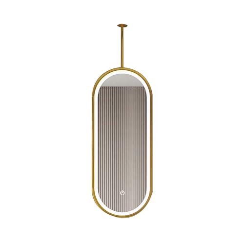 Hängender doppelseitiger Spiegel, drehbarer dekorativer Spiegel, LED-Beleuchtung mit 3 Farbtemperaturen und Einstellbarer Helligkeit, geeignet for Zuhause, Hotel(Gold,60x100cm) von Generic