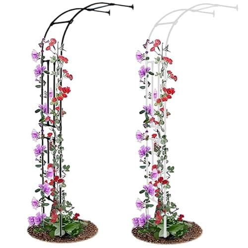Halbbogen Rosenbogen Gartenbogen Gartenlaube Aus Metall Stabil Halbrosenbogen, Witterungsbeständig Für Verschiedene Kletterpflanzen Und Rasen Gartendekoration(Schwarz,W 260 X H 240 cm) von Generic