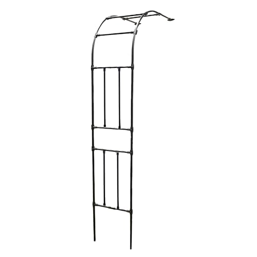 Halbbogen-Rosenbogen-Spalier, Wandmontierte Gartenlaube aus Metall, Kletterpflanzenstütze, Spalierbögen aus Metall, Gehweg-Laubentunnel zur Gartendekoration, Seitenbreite 40(Black,0.9M*2.4m/2.9FT*7.8F von Generic