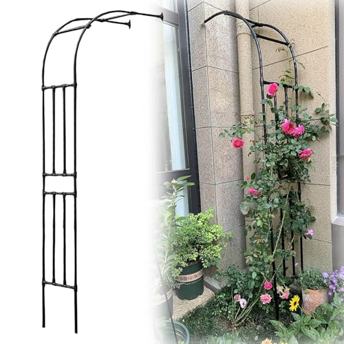 Halbbogen Wandrosenbogen Breite 60-300cm Metall Gartenbogen Rankhilfe Kletterpflanzen Hoch 240cm Halb Rankhilfe Rankgitter Torbogen Pergola(Black,W150cmxH240cm) von Generic