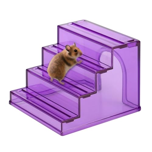 Hamsterleiter - Dekorative Leiter für Tierkäfig, 2 in 1 Nisthaus, Klettergerüst, rutschfest | Grabbare Stimulationsübung für Spielzeit, Anim-Wohnaccessoire Hamsterleiter - Dekorative Leiter für Tierkäfig, 2 in 1 Nisthaus, Klettergerüst, rutschfest | Grabbare Stimulationsübung für Spielzeit, Anim-Wohnaccessoire von Generic