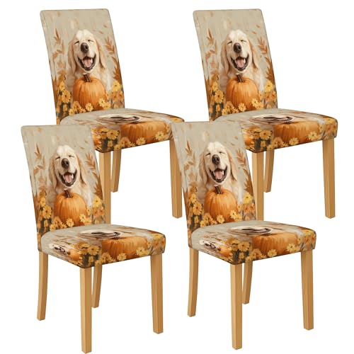 Happy Dog Kürbis-Stuhlhussen für Esszimmerstühle, dehnbar und waschbar, Spandex-Sitzschoner, niedliche dekorative Schonbezüge für Herbstküchendekoration, 4 Stück von Generic