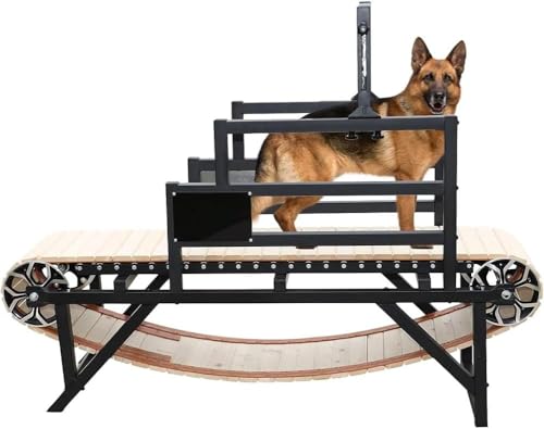 Haustier-laufband Für Kleine Hunde, Hundelaufband Für Große Mittelgroße Hunde, Für Ru Cardio Home Backyard von Generic
