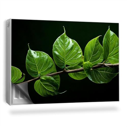 Heizkörperverkleidung 90x60 cm Heizung Schutz Hitzebeständing Einfache Installation Magnetmatte für Heizkörper Magnetisch Magnetbefestigung - EIN Zweig mit intensiv grünen Blättern Heizkörperverkleidung 90x60 cm Heizung Schutz Hitzebeständing Einfache Installation Magnetmatte für Heizkörper Magnetisch Magnetbefestigung - EIN Zweig mit intensiv grünen Blättern von Generic