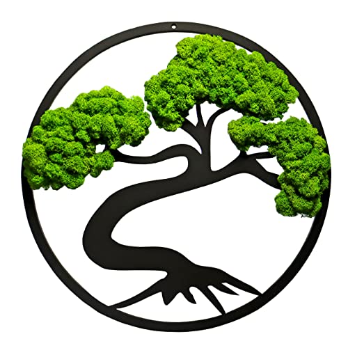 Hello Moss Bonsai Baum Wanddeko mit Moos - Baum mit Einer Krone aus Moos - Wand Deko mit Islandmoos - Moosbilder für Ihr Haus - Verschiedene Großen (Dunkelgrün - Natürliche Kiefer, 50 cm) von Generic