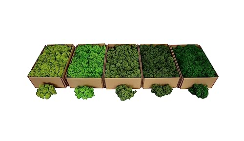 Hello Moss Islandmoos Norwegisch 0,5/1kg - Konserviertes Moos Live, voll biologisch - Moos Deko ideal für Ostern, Weihnachtsdekorationen - bastel moos, Terrarium moos (0.5kg, Grasgrünes Licht) von Generic